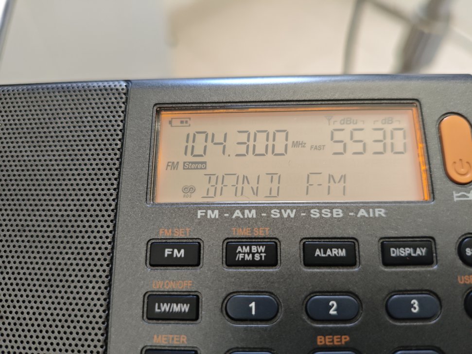 33981.jpg