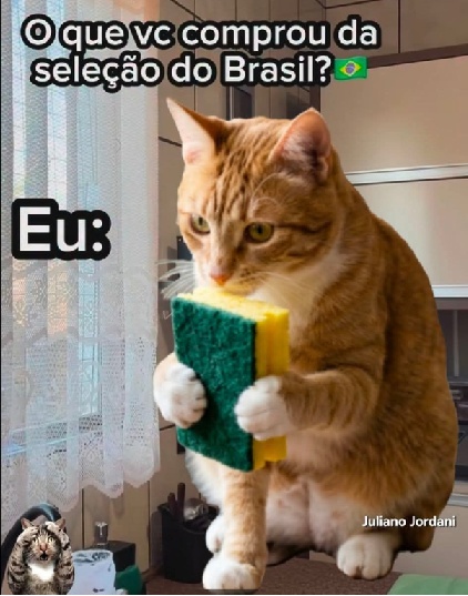 seleção.jpg