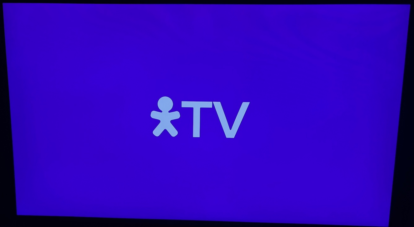 vivo3.png