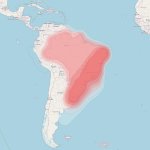 brazil.jpg