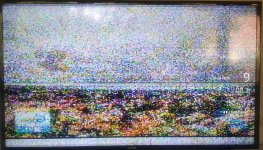 20240223_114949.jpg