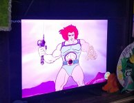 Thundercats na ISTV.jpg