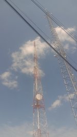 IMG_20240922_092906022.jpg