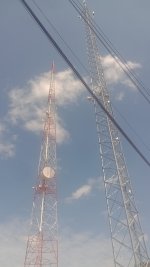 IMG_20240922_092918453_MFNR.jpg