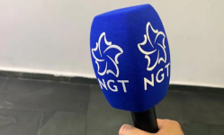 Microfone da NGT n.png