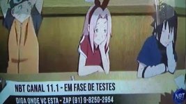 NBT.jpg
