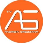 TV Andreia Grezzana.jpg